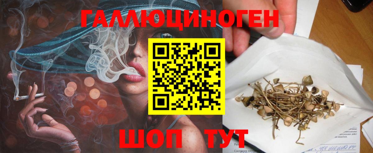 Шарыпово  Галлюциногенные грибы GOLDEN TEACHER  Вход с VPN 